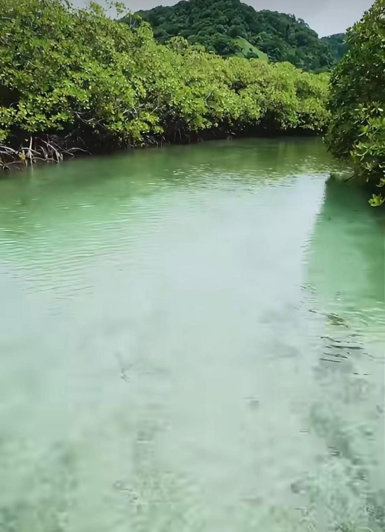 Ranchos De Chalia Panama Hotel Portobelo Kültér fotó
